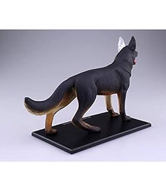 立体パズル 4D VISION 動物解剖モデル 犬 フィギュア シェパード Amazon.co.jp: 青島文化教材社 スカイネット 立体パズル 4D
